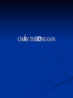 Siêu âm CHẤN THƯƠNG GAN