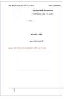 Tiểu luận luật kinh tế HỢP ĐỒNG TÍN DỤNG THỰC TIỄN TẠI THÀNH PHỐ HỒ CHÍ MINH