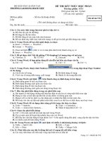 Đề thi HKII tin Học 10 Đề số 5