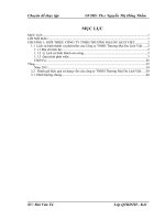 Một số giải pháp nâng cao hiệu quả sử dụng vốn ở Công ty TNHH Thương mại du lịch Việt