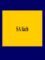 bàI GIẢNG SIÊU ÂM LÁCH