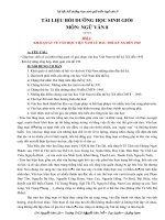 Giáo án bồi dưỡng học sinh giỏi văn 8