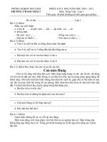 ĐỀ VÀ HD CHẤM HSG TV L1 10 - 11