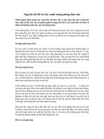 Nguyên tắc bố trí cây xanh trong phòng làm việc