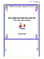 Bồi dưỡng học sinh giỏi Ngữ văn THCS