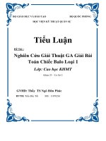 Nghiên cứu giải thiaatj GA giải bài toán chiếc balo loại 1