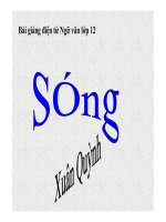 Bài giảng sóng ngữ văn 12