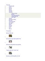 Sinh đẻ có kế hoạch