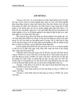 Hoàn thiện công tác kế toán bán hàng tại công ty TNHH A.K systec Việt Nam