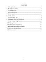 Các yếu tố ảnh hưởng đến công tác kiểm soát chi Ngân sách nhà nước qua Kho bạc Nhà nước trên địa bàn Thành phố Hồ Chí Minh