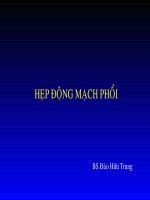 Siêu âm hẹp động mạch phổi