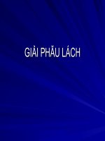 Bài giảng siêu âm giải phẫu lách