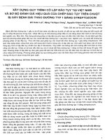 Xây dựng quy trình cô lập đảo tụy tại Việt Nam và sơ bộ đánh giá hiệu quả của ghép đảo tụy trên chuột bị gây bệnh đái tháo đường typ 1 bằng streptozocin