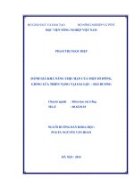 Đánh giá khả năng chịu hạn của một số dòng, giống lúa triển vọng tại gia lộc   hải dương