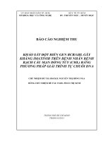 Khảo sát đột biến gen BCR/ABL gây kháng imatinib trên bệnh nhân bệnh bạch cầu mạn dòng tuỷ (CML) bằng phương pháp giải trình tự chuỗi DNA