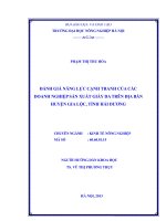 Đánh giá năng lực cạnh tranh của các doanh nghiệp sản xuất giày da trên địa bàn huyện gia lộc, tỉnh hải dương