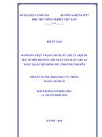 Đánh giá thực trạng sản xuất chè và một số yếu tố môi trường góp phần sản xuất chè an toàn tại huyện đồng hỷ, tỉnh thái nguyên