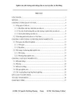 Nghiên cứu môi trường nuôi chủng nấm sò của trại nấm An Hải Đông