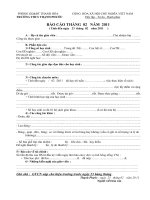 Mẫu báo cáo GVCN nộp cho hiệu trưởng