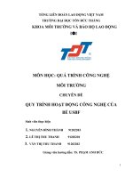 tiểu luận môn học quá trình công nghệ môi trường chuyên đề qui trình hoạt động công nghệ của bể USBF