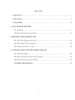 Phương pháp nhánh cận giải bài toán quy hoạch nguyên