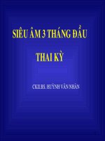 Siêu âm ba tháng đầu thai kỳ