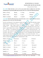 ĐỀ THI THỬ MÔN ANH VĂN Chuyên Nguyễn Huệ lần 1 năm 2015