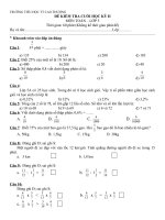 Đề hsg môn toán 5