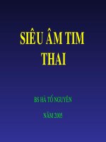 Bài giảng siêu âm tim thai 2