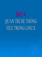 Redhat linux QUẢN TRỊ HỆ THỐNG FILE TRONG LINUX