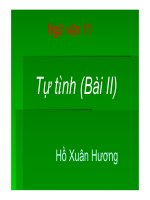 Bài giảng bài tự tình ngữ văn 11