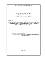 Khảo sát thực vật học, thành phần hóa học và thử độc tính trên một số dòng tế bào ung thư tơ xanh (Cassytha filiformis L.) ở vùng Gò Tháp - Đồng Tháp