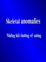 Siêu âm những bất thường hệ xương