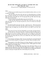 Đề thi HSG môn Tiếng Việt - Lớp 4