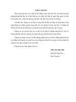 NHẬN XÉT VÀ ĐÁNH GIÁ HỆ THỐNG THÔNG TIN TÍNH TOÁN VÀ PHÂN TÍCH CHẾ ĐỘ LƯỚI ĐIỆN Ở VIỆT NAM