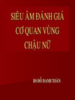 siêu âm đánh giá cơ quan vùng chậu nữ