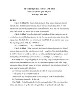 DE THI HSG MON LY 2010-2011