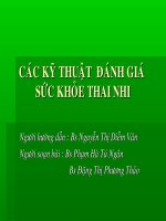 Các kỹ thuật đánh giá sức khỏe thai nhi qua siêu âm
