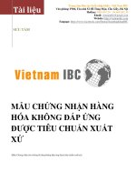 Mẫu khai giấy chứng nhận xuất xứ hàng hóa CO form B - Việt Nam IBC