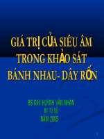 GIÁ TRỊ CỦA SIÊU ÂM TRONG KHẢO SÁT BÁNH NHAU- DÂY RỐN