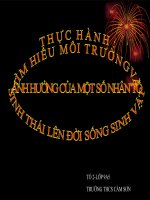 THỰC HÀNH : TÌM HIỂU MÔI TRƯỜNGVÀ ẢNH HƯỞNG CỦA MỘT SỐ NHÂN TỐ  SINH THÁI LÊN ĐỜI SỐNG SINH VẬT