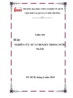 luận văn nghiên cứu xử lý ben zen trong nước ngầm