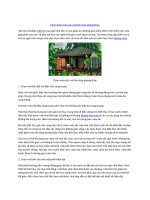 Cách chọn màu sắc mái tôn hợp phong thủy