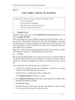 Mapinfo Kỹ Thuật Xây Dựng Bản đồ