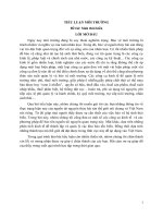 tiểu luận môi trường đề tài sinh thái biển