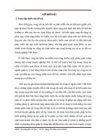 Tìm hiểu và đánh giá hệ thống kiểm soát nội bộ tại Công ty trách nhiệm hữu hạn VietNam  Korea Exchanges