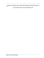 Khóa luận: : GIẢI PHÁP HẠN CHẾ RỦI RO TRONG KINH DOANH THẺ CỦA NGÂN HÀNG TMCP SÀI GÒN THƯƠNG TÍN