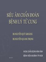 Siêu âm chẩn đoán bệnh lý tử cung