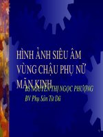 Hình ảnh siêu âm vùng chậu phụ nữ mãn kinh