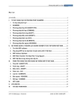 QUÁ TRÌNH ỨNG DỤNG, PHÁT TRIỂN HỆ THỐNG QUẢN LÝ NGUỒN LỰC DOANH NGHIỆP (ERP – Enterprise Resource Planning) Ở VIỆT NAM